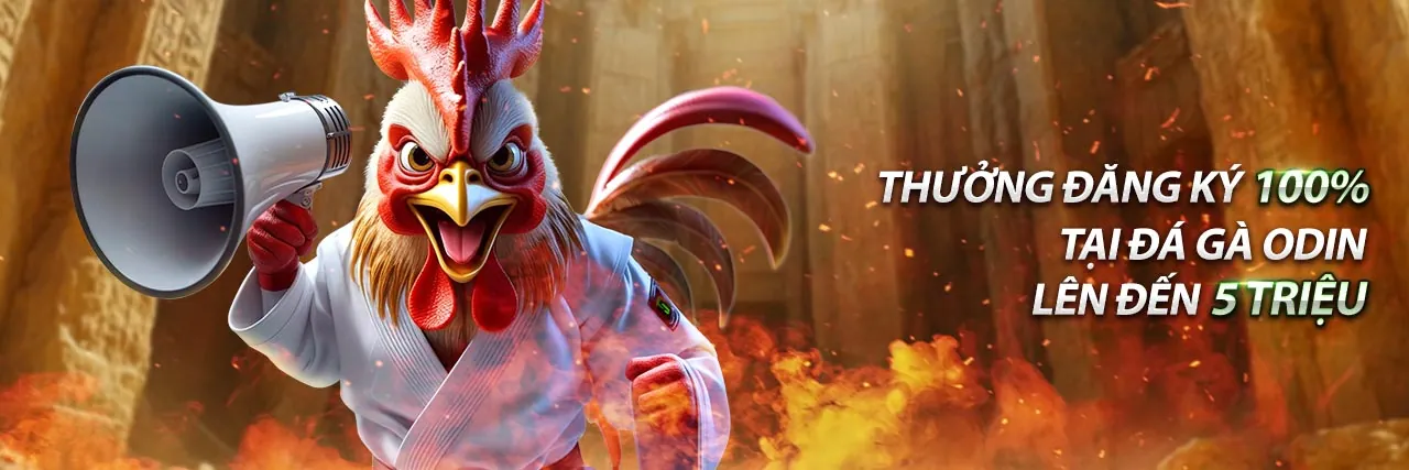 Tổng quan các chương trình khuyến mãi hấp dẫn của nhà cái Typhu88