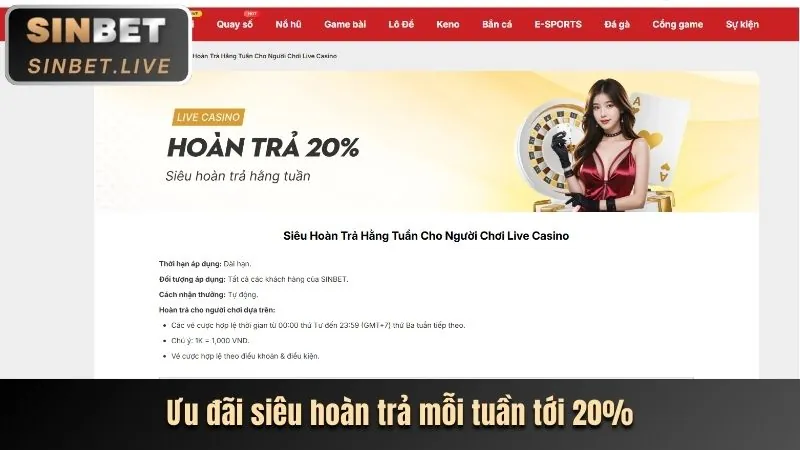 Khái niệm hoàn trả tiền cược tại typhu88